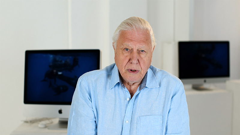 Sir David Attenborough